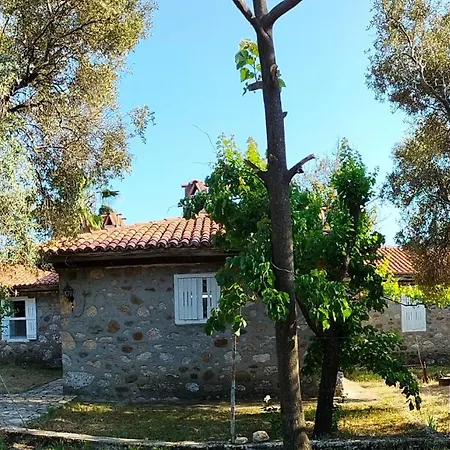 Hotell Ekincik'te Tas Ev 4*