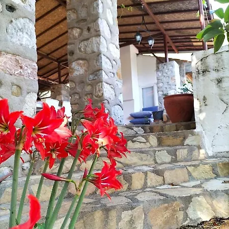 Ekincik'te Tas Ev Hotell 4*